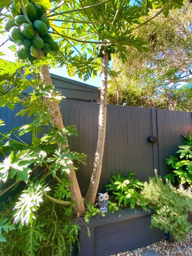 Appartamento The Mitchell Bondi Garden 4 Sydney Esterno foto